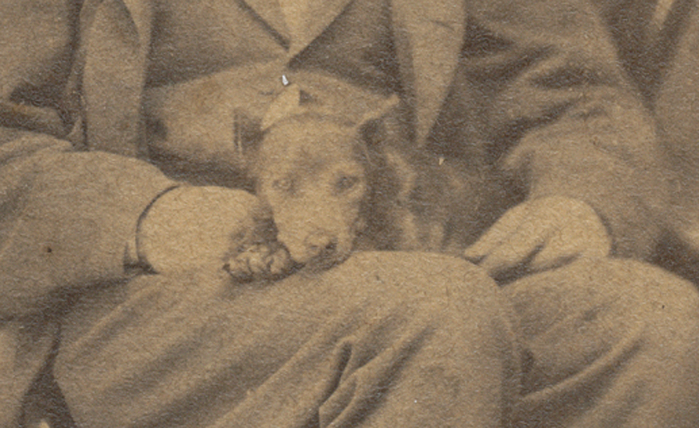 CDV SEATED VIEW OF A MAN AND HIS DOG — Horse Soldier