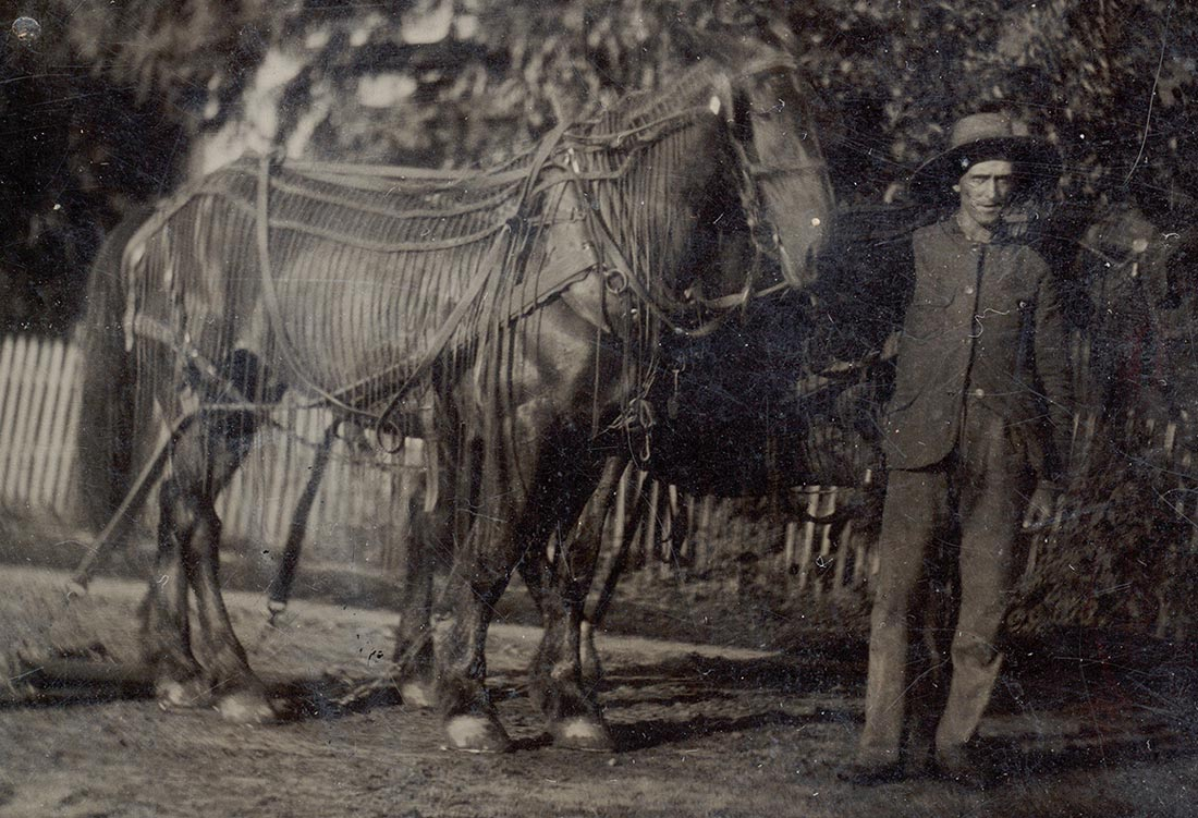 1/8 PLATE TINTYPE OF LARGE WORK HORSE — Horse Soldier