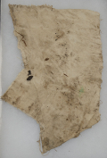CLOTH FROM FORT PEMBINA, POSSIBLY FROM AN ISSUE SHIRT 